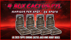 RGL #4508 - Cactus Jack WWE 4 Box Pick Your Letter (First Name) (8/29/25)