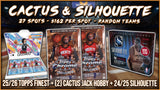 25% Filler - RGL #5564 - Cactus & Silhouette (6/20/26)